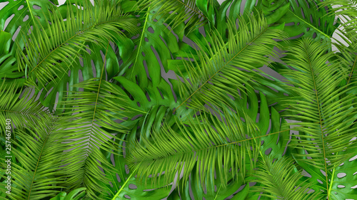 3D render of realistic palm leaves on white background for cosmetic ad or fashion illustration. Tropical frame exotic banana palm.