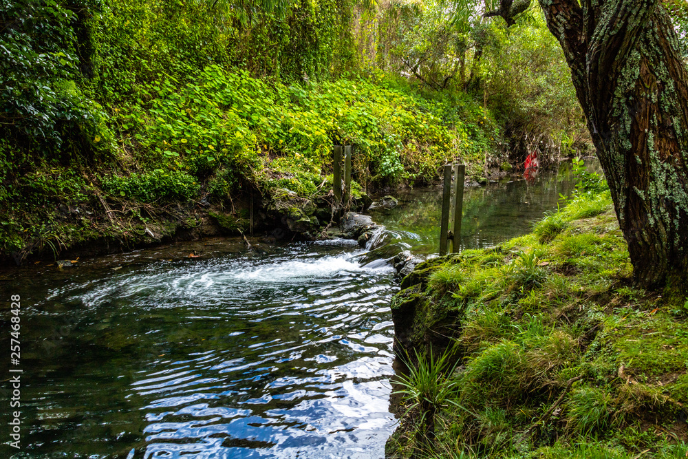 Rivers run through the park and empty into the Western Springs Pond, Auckland, New Zealand Rivers run through the park and empty into the Western Springs Pond, Auckland, New Zealand