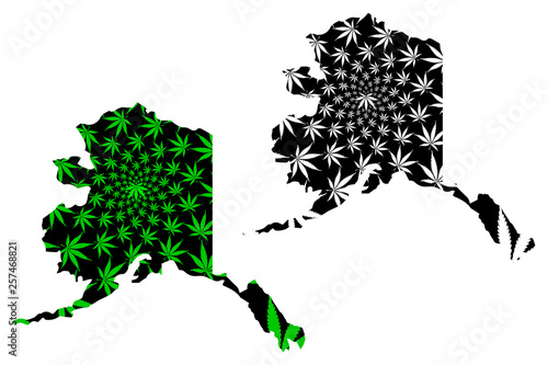 Alaska (United States of America, USA, U.S., US) -  map is designed cannabis leaf green and black, State of Alaska map made of marijuana (marihuana,THC) foliage,