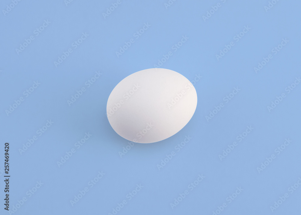 eggs on colour background eggs on colour background