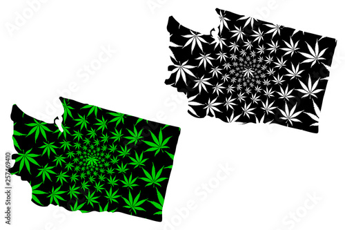 Washington (United States of America, USA, U.S., US) -  map is designed cannabis leaf green and black, State of Washington map made of marijuana (marihuana,THC) foliage,