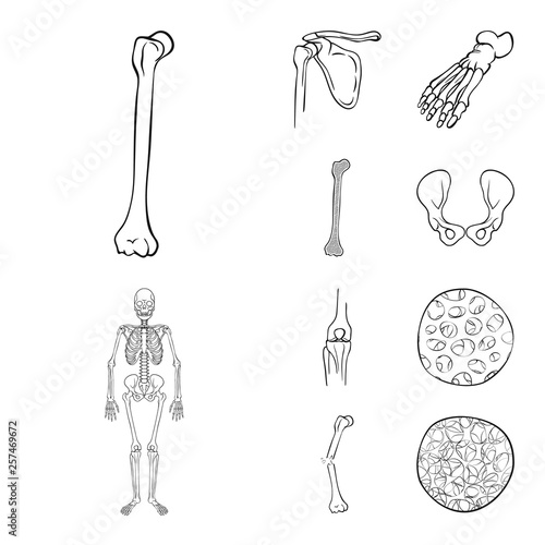 Vector design of medicine and clinic symbol. Set of medicine and medical vector icon for stock.
