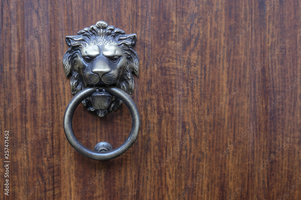A handle on a door in the form of a head of a lion with a ring in a mouth, from bronze.