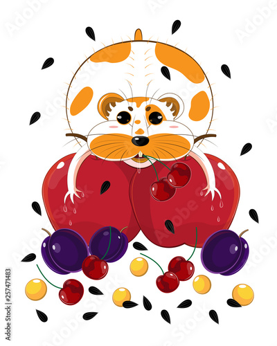 Greedy white and red hamster