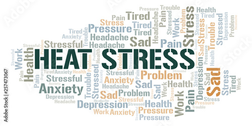 Heat Stress word cloud.