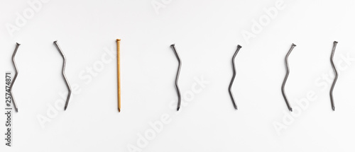 Photography One golden nail among bent nails on white background.