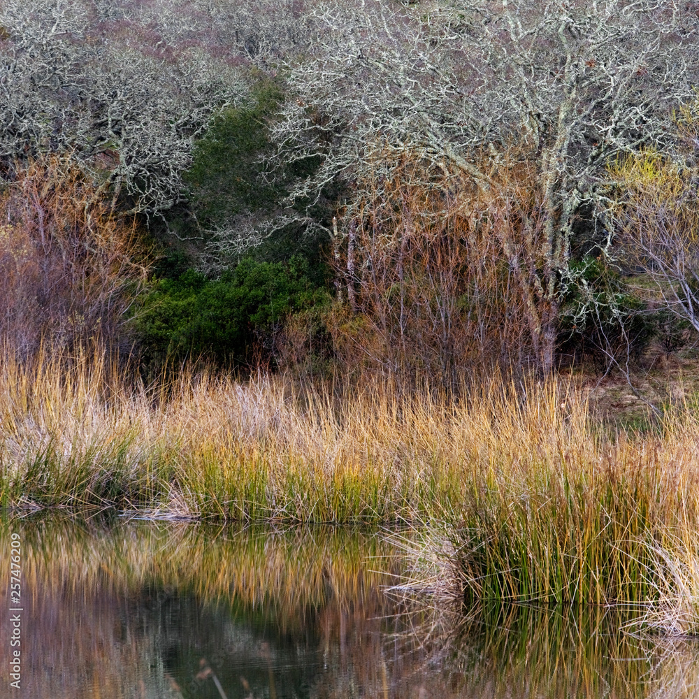 Scenic view of lake and shrubs near pond Scenic view of lake and shrubs near pond