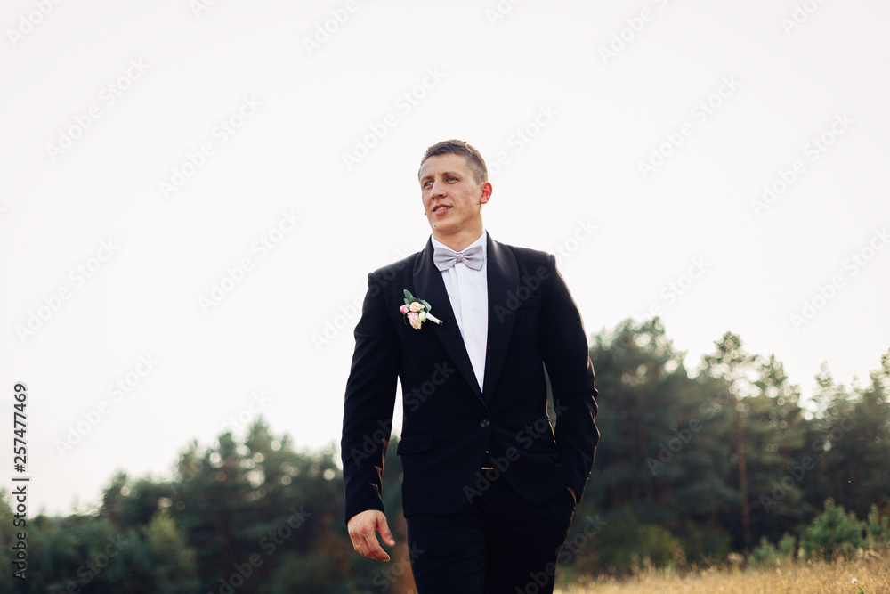 Portrait of a handsome groom in a black tuxedo with a bow-tie. Portrait of a handsome groom in a black tuxedo with a bow-tie.