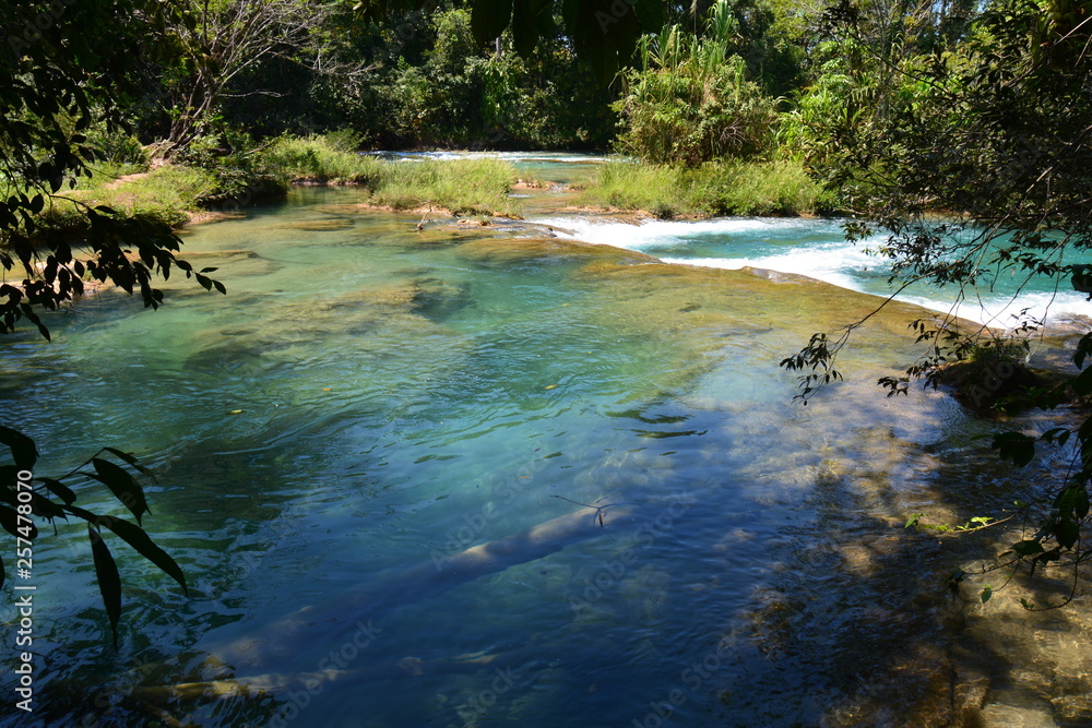 custom made wallpaper toronto digitalCascade Agua Azul Chiapas Mexique - Agua Azul Waterfall Chiapas Mexico