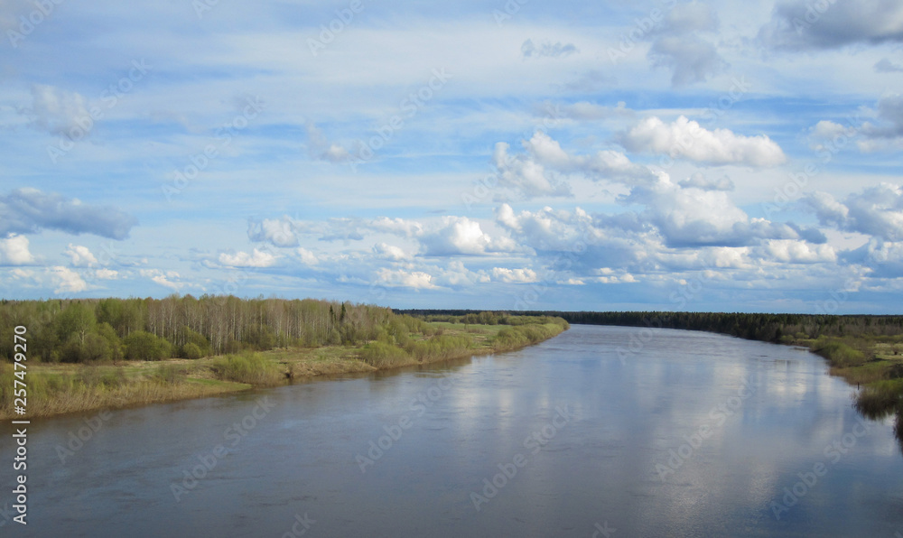 Obraz premium Landscape with river and forest