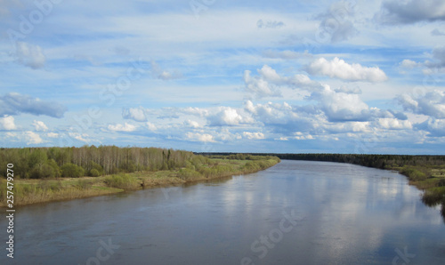 Landscape with river and forest