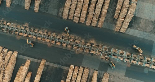 Rising above a sawmill yard with stacks of tree trunks