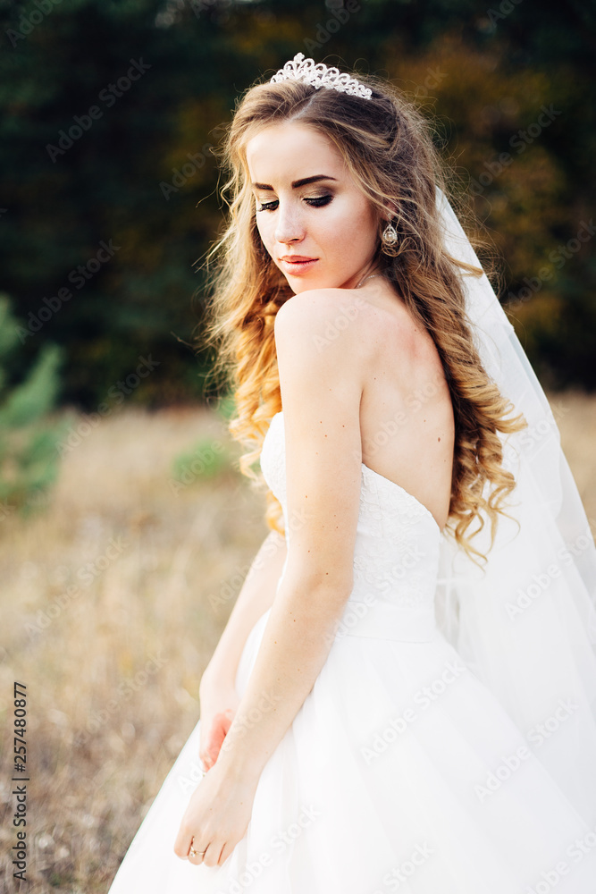 Nice portrait of a beautiful bride with a diadem on her head. Nice portrait of a beautiful bride with a diadem on her head.