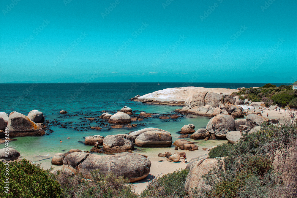 boulder beach, simons town, cape town, south africa