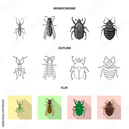 Vector design of insect and fly symbol. Set of insect and element vector icon for stock. © Svitlana