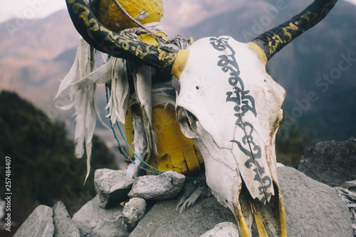 A yak skull is painted with Tibetan prayers on top of Mani stones in Nepal's Everest Region. photo