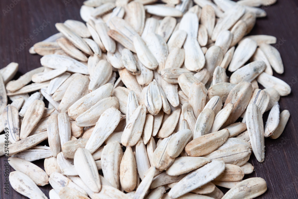 pile of sunflower seeds