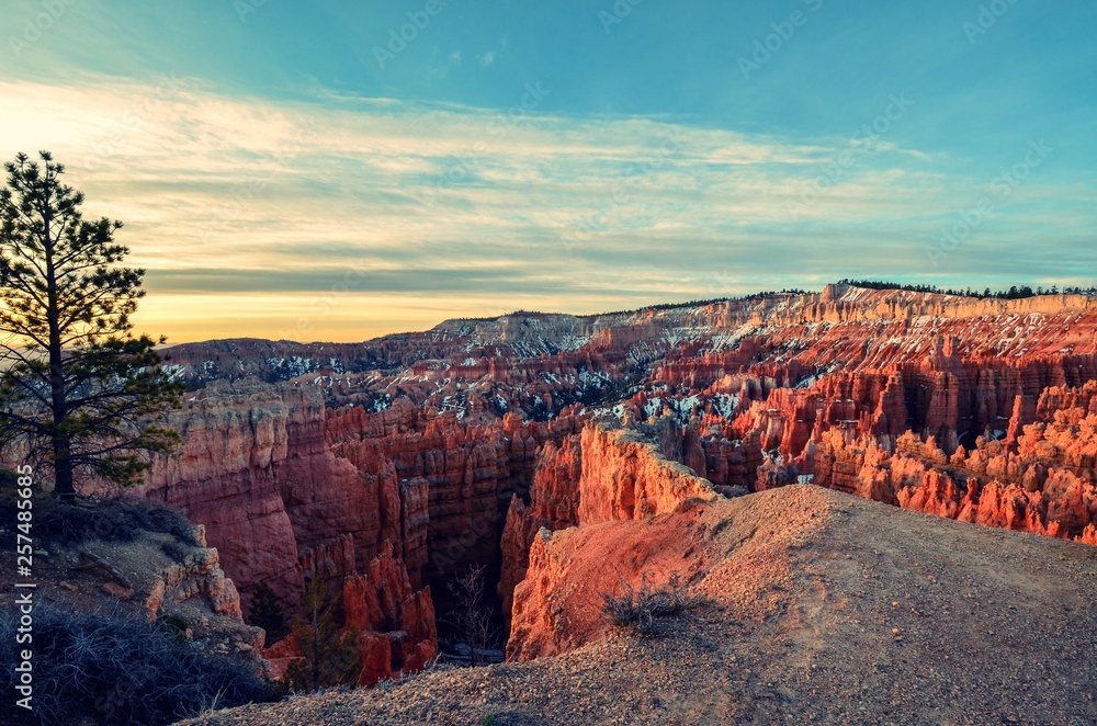 Bryce Canyon National Park during Sunrise with tree on the left Bryce Canyon National Park during Sunrise with tree on the left