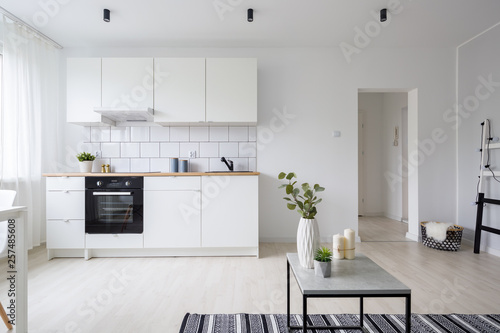Modern studio apartment with kitchenette photo