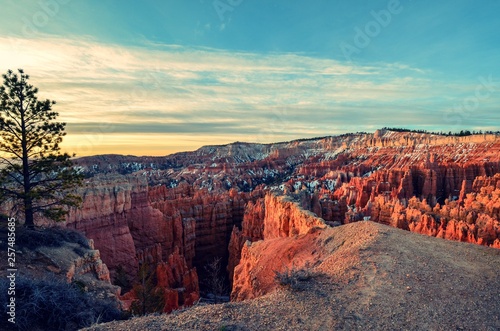 Bryce Canyon National Park during Sunrise with tree on the left