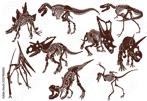 Graphical vintage set of dinosaur skeletons ,retro background,vector sketch