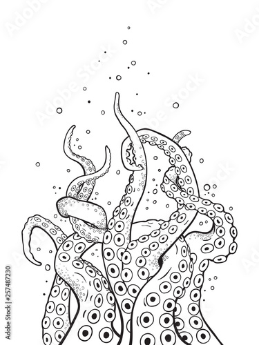 Octopus tentacles curl and intertwined hand drawn black and white line art coloring book pages for kids and adults vetor illustration.