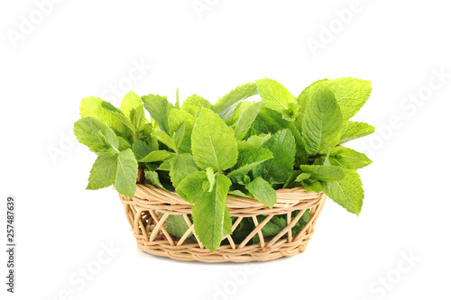 Mint leafs isolated on white background