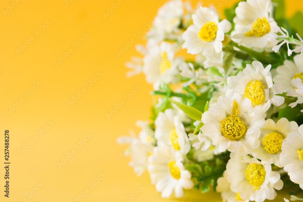 Daisy flower on yellow background. Copyspace Daisy flower on yellow background. Copyspace