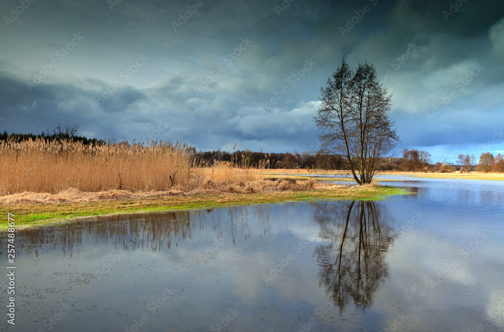 Wiosenne Rozlewiska - Rzeka Drwęca Stock Photo | Adobe Stock