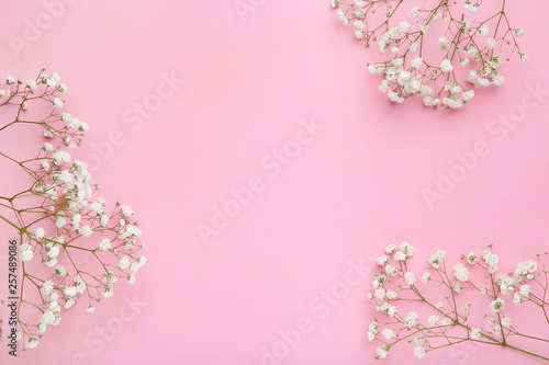 White gypsophila flowers on pink background