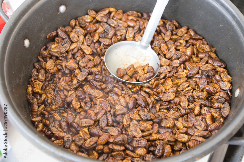 Beondegi Literally Pupae Korean Street Food Made With Silkworm