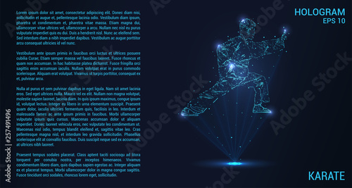 Karate hologram. Digital and technological background of martial arts. Karate consists of rays of light.