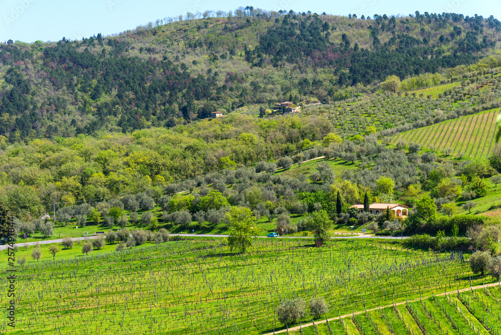 Amazing springtime colorful landscape in Chianti, Tuscany. Italy