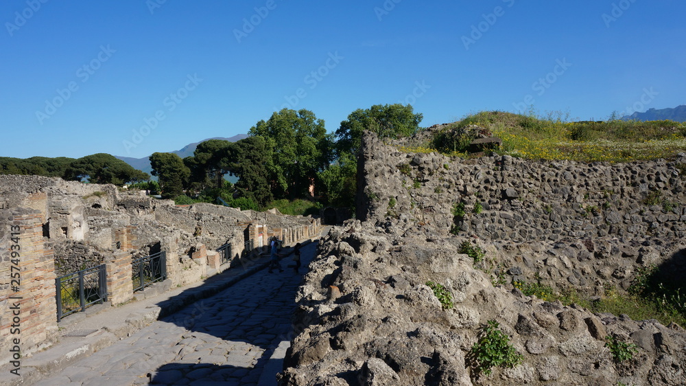 Italy. Ancient Pompeii (UNESCO World Heritage Site).