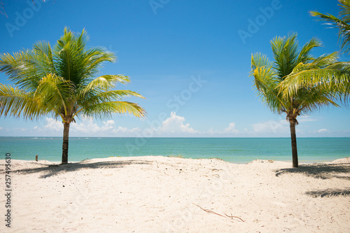Fototapeta Naklejka Na Ścianę i Meble -  Coconut trees and turquoise sea at Sossego beach on Itamaraca island - Pernambuco, Brazil