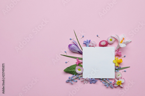 Flat lay composition with spring hyacinth flowers and blank card on color background, space for text © New Africa