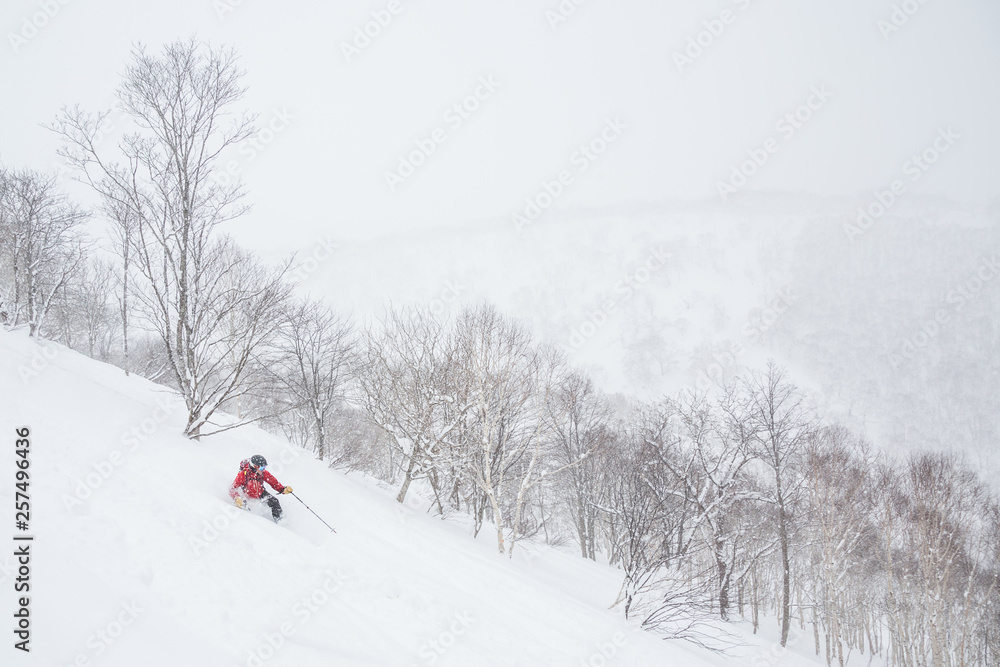 Obraz premium Telemark skiing in powder near Niseko United resorts in Hokkaido.