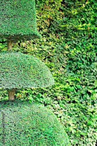 Garten2503a