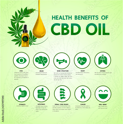 Cannabis benefits for health vector illustration.