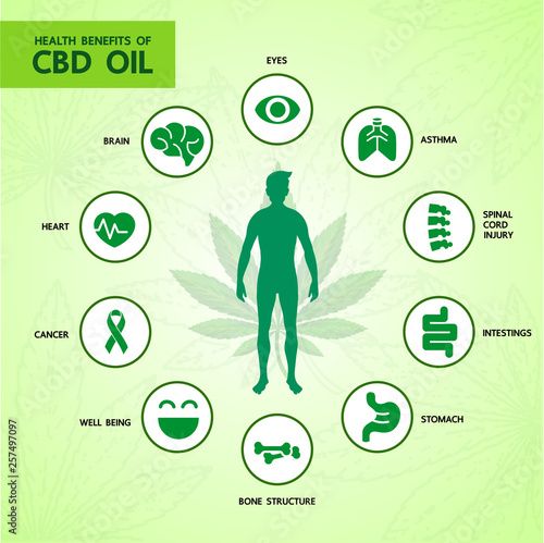 Cannabis benefits for health vector illustration.