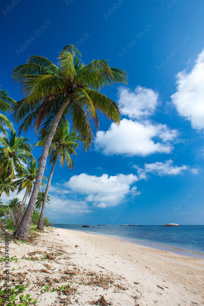 tropical beach in Sri Lanka . Summer holiday and vacation concept for tourism.