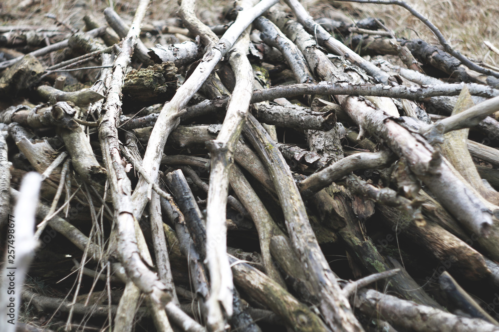 Pile ow branch Pile ow branch