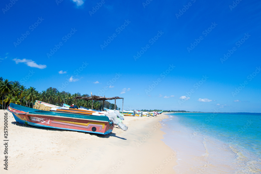 tropical beach in Sri Lanka . Summer holiday and vacation concept for tourism. tropical beach in Sri Lanka . Summer holiday and vacation concept for tourism.
