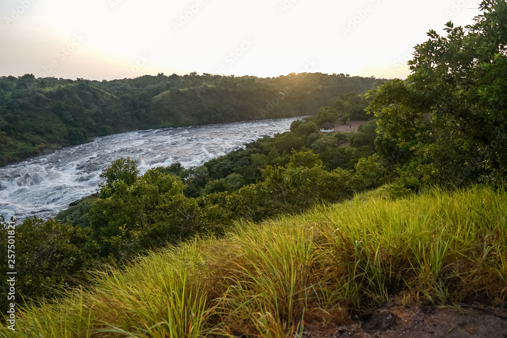 Landscape in Murchison Falls