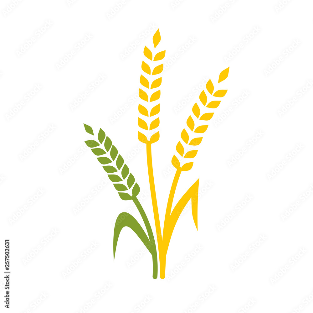 Cereal icon on background for graphic and web design. Simple vector sign. Internet concept symbol for website button or mobile app. Cereal icon on background for graphic and web design. Simple vector sign. Internet concept symbol for website button or mobile app.