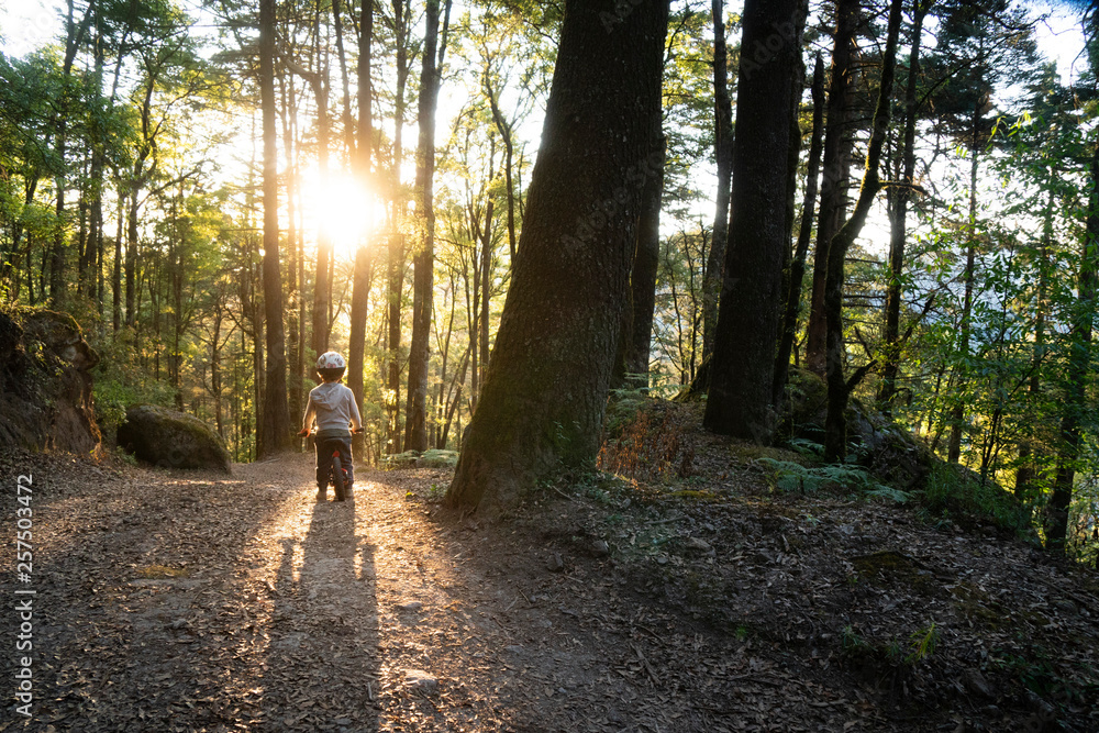 Rear view of boy with bike in forest at sunset Rear view of boy with bike in forest at sunset