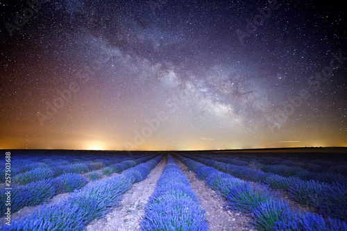 Night photograph with milky way in lavender field of Brihuega, Guadalajara, Castilla La Mancha, Spain photo