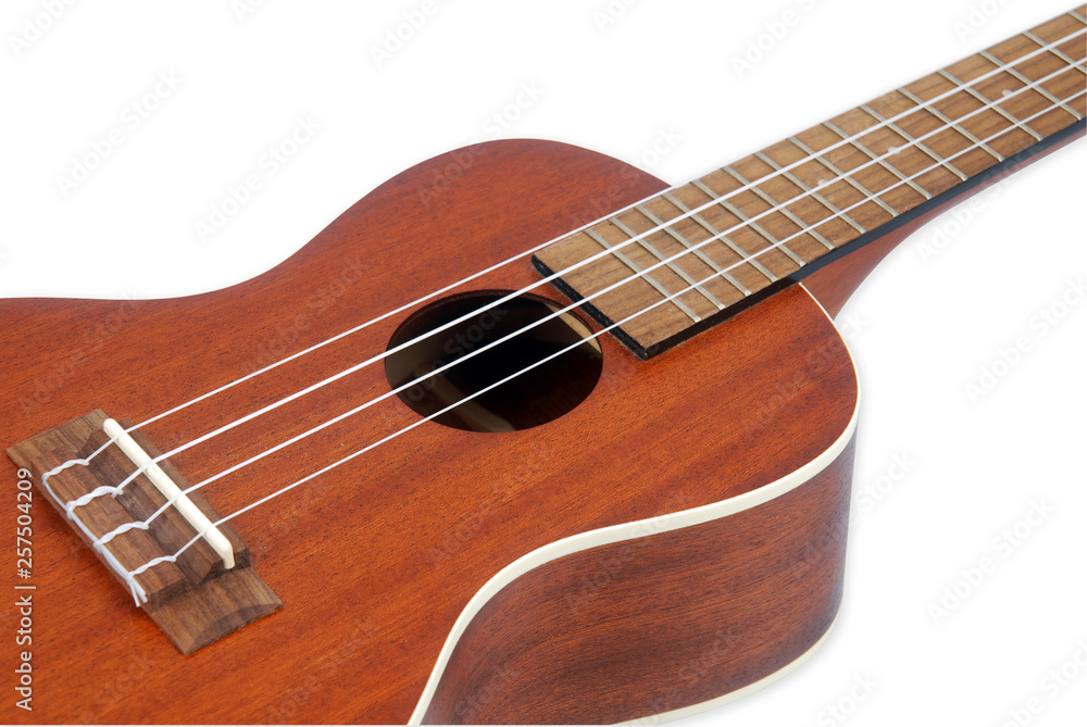 The brown ukulele on the white Background, close-up photo with Clipping path