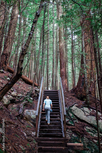 SQUAMISH, BRITISH COLUMBIA, CANADA. A young woman in hiking clothes climbs wooden stairs in a forest of towering trees. photo