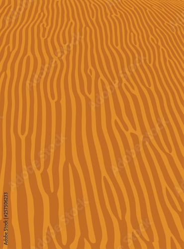 Fotografia, Obraz Orange wave sand ripple texture, sahara desert